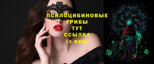 спиды Богданович