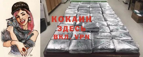 спиды Богданович