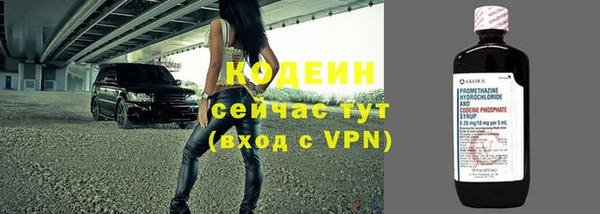 спиды Богданович