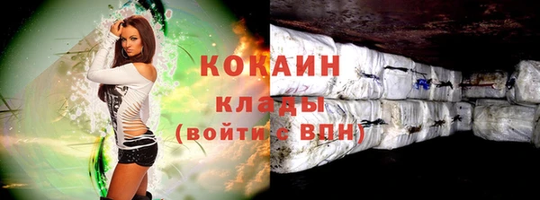 спиды Богданович