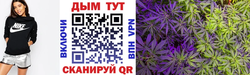 Конопля White Widow  Шлиссельбург 